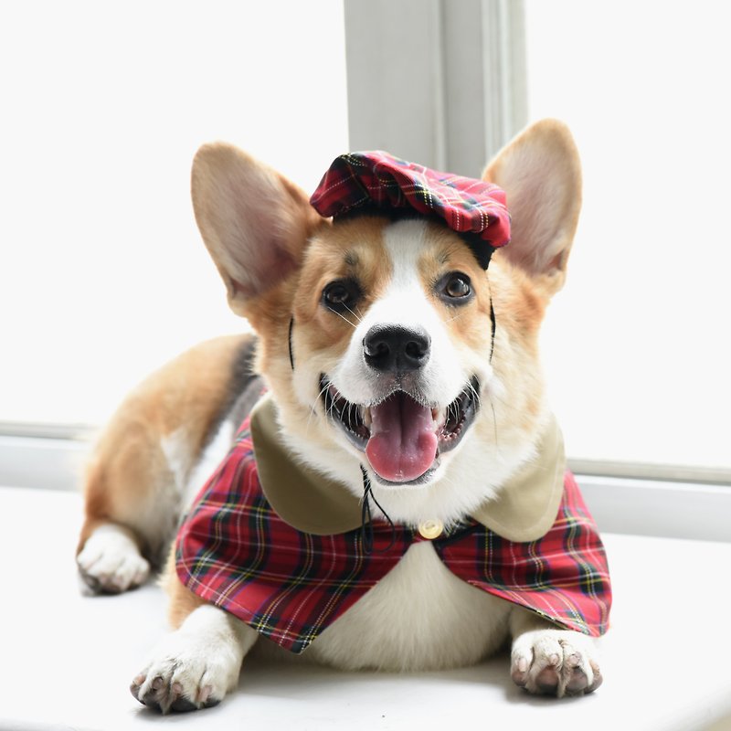 Handmade Tartan Pet Beret & British Cape-Fashion Outfit- Dog【ZAZAZOO】 - Clothing & Accessories - Cotton & Hemp Multicolor