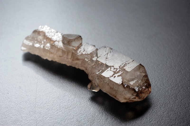 鱷魚皮骨幹 靈修 招財 破煞 防小人(收藏級) - 擺飾/家飾品 - 水晶 