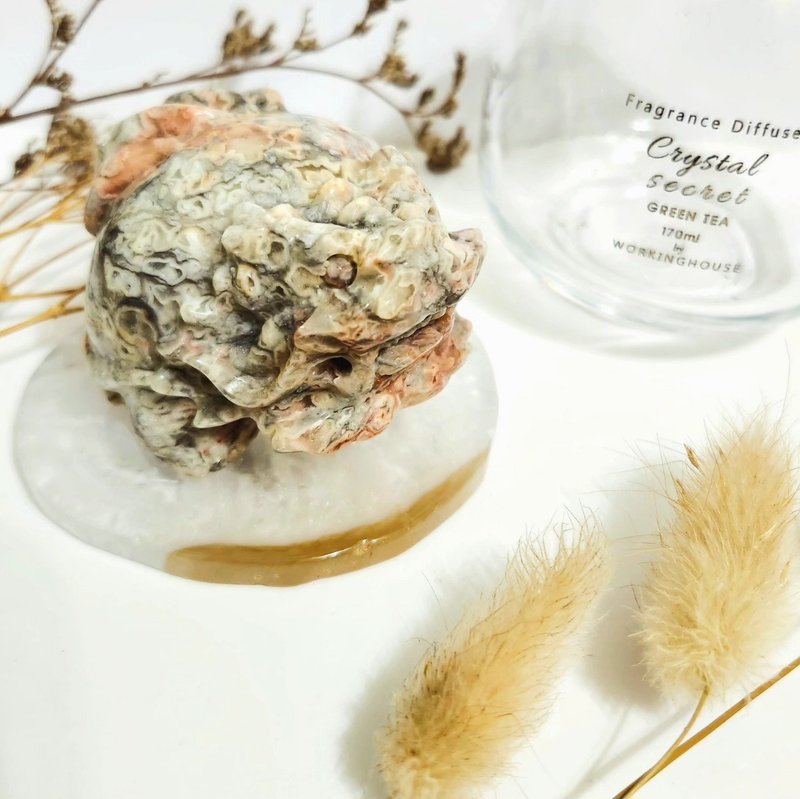 Crazy Lace Agate Dragon Turtle - Items for Display - Crystal Pink