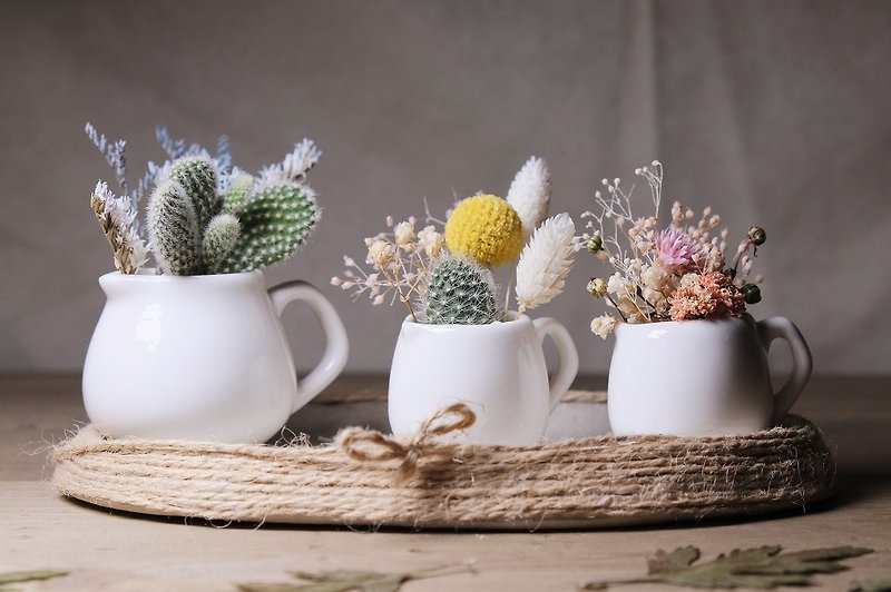 The size of the meat pots cement dish dry flowers more meat potted DIY material package succulents potted - ตกแต่งต้นไม้ - เครื่องลายคราม สีเขียว