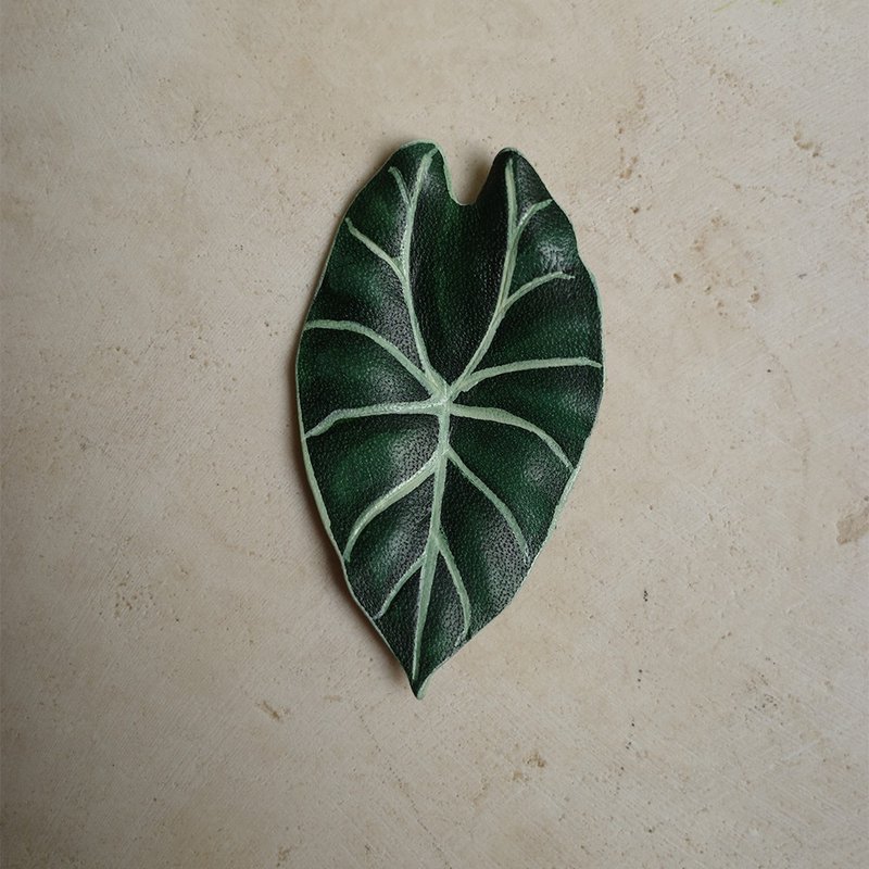 華森觀音蓮 Alocasia longiloba watsoniana-Complex - 擺飾/家飾品 - 真皮 綠色