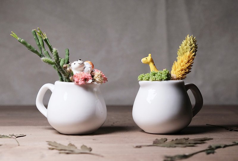 雙享肉壺 乾燥花多肉盆栽DIY材料包 succulents potted - 植物/盆栽/盆景 - 瓷 多色