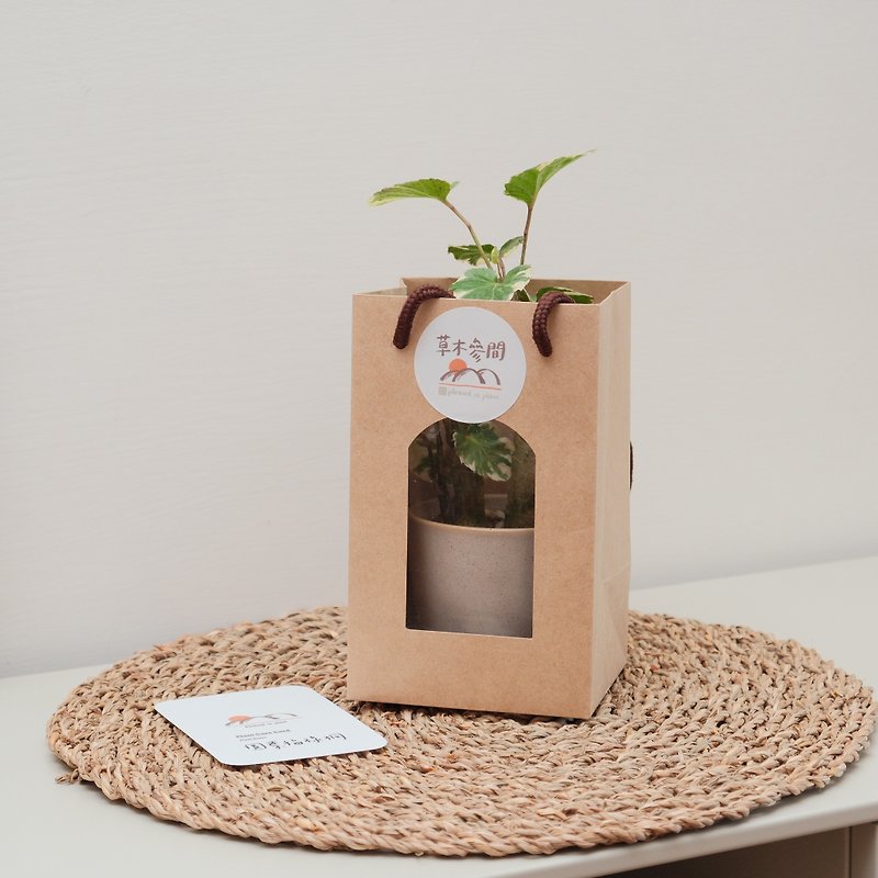 [Gift plus purchase] Window paper bag - Plants - Paper 