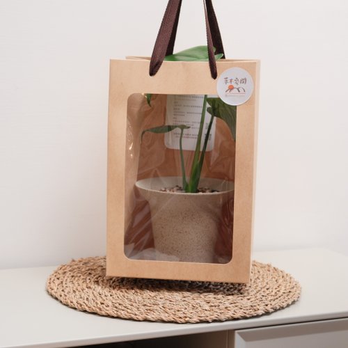 ギフトプラス購入】窓付き紙袋 - ショップ pleased to plant