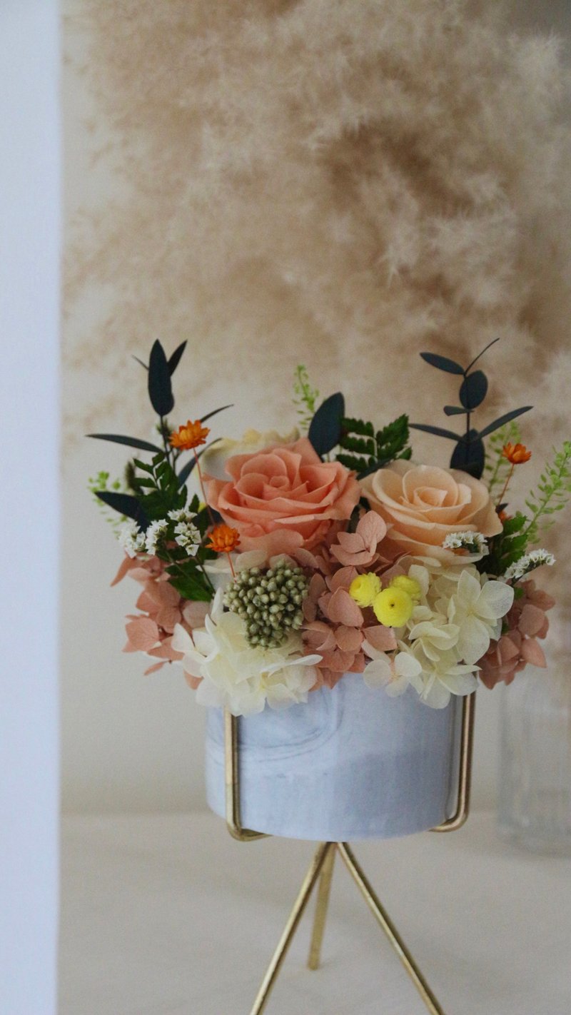 【永生花禮】永生花盆栽 開幕賀禮 乾燥花 乾燥花桌花 永生玫瑰 - 乾燥花/永生花 - 瓷 橘色