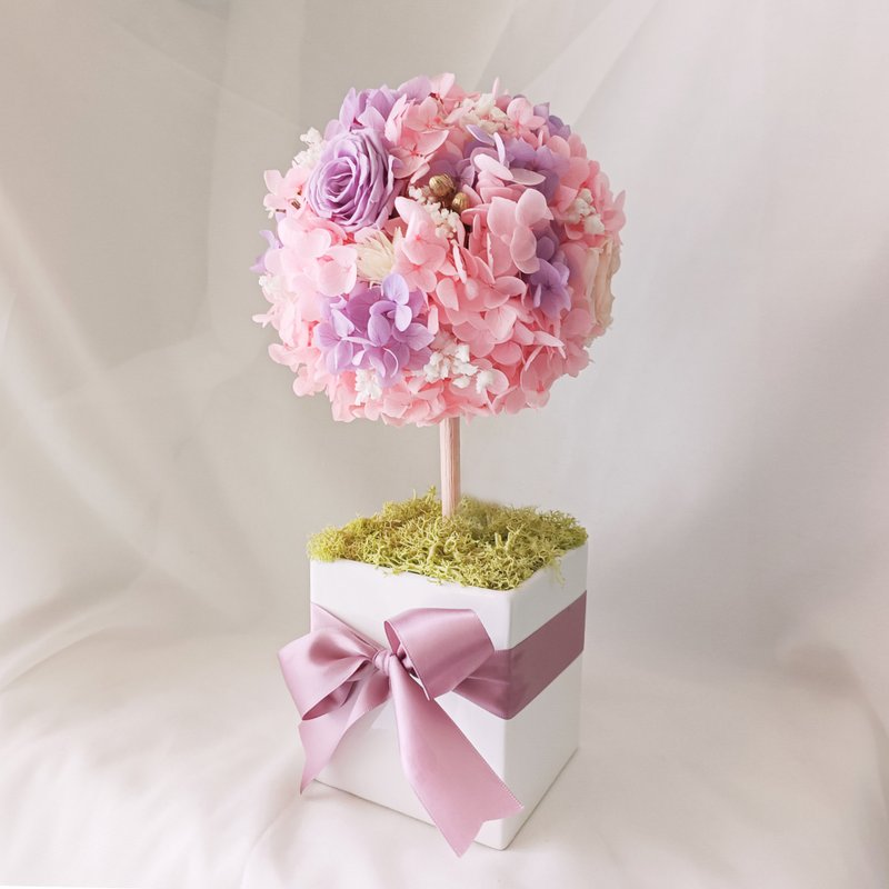 【Acacia】Preserved flowers/dried flowers/potted flowers - Dried Flowers & Bouquets - Plants & Flowers Pink