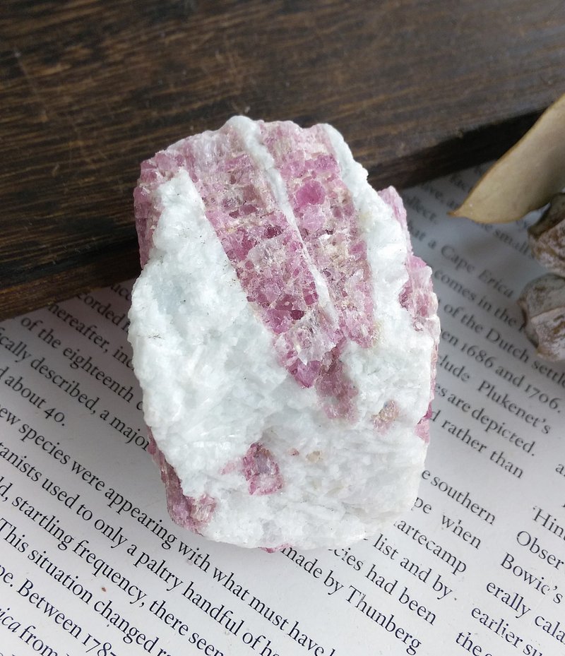 Tourmaline  巴西產地 電氣石 粉碧璽 天然礦石 原礦 - 擺飾/家飾品 - 其他材質 