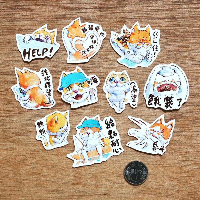 Waterproof stickers - kitten new Tsai's daily (10 in) - สติกเกอร์ - กระดาษ สีส้ม