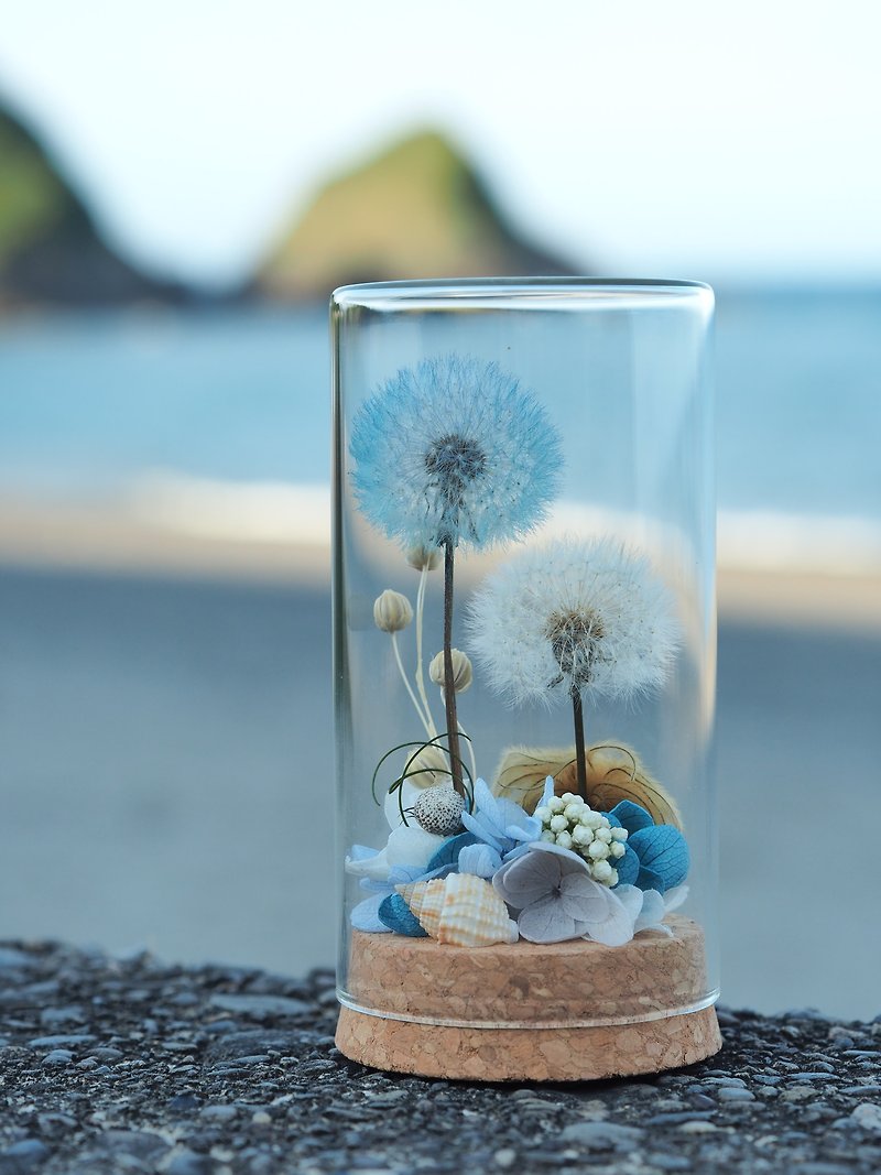 Marine style dandelion dandelion dry flower - ช่อดอกไม้แห้ง - พืช/ดอกไม้ สีน้ำเงิน