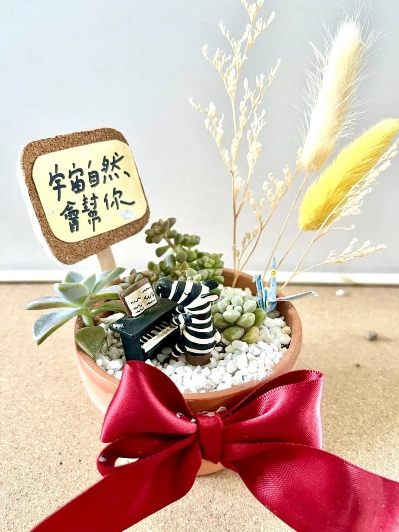 台中多肉組盆 多肉植物 日式枯山水 音樂比賽 鋼琴演奏 音樂送禮 - 盆栽/植栽 - 植物．花 綠色