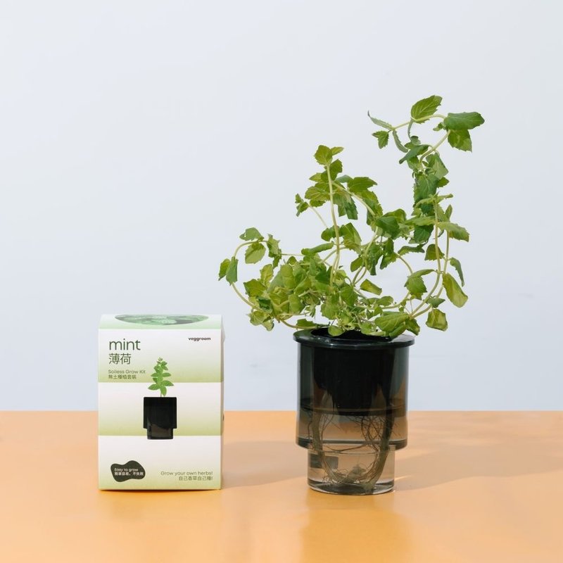 自己種 廚房香草系列: Veggroom 水耕薄荷種植套裝 - 花藝/盆栽/植栽 - 植物．花 灰色
