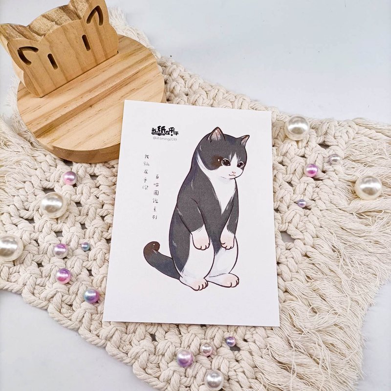 ME182-A40_我紙在乎你百喵圖鑑系列明信片_postcard - 卡片/明信片 - 紙 多色