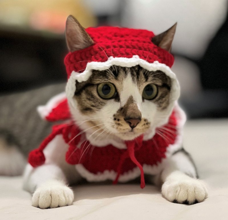 ฅCat Handmade ฅ Little Red Riding Hood suit hand crocheted collar customized gift pet cat - Collars & Leashes - Cotton & Hemp Red