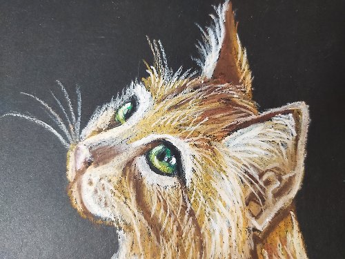 赤いふわふわの猫オイルパステル原作動物原画の肖像 - ショップ 