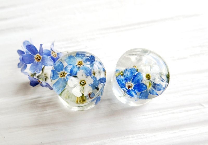 Forget-me-not plugs earrings 2g 0g 00g  gauges White Flowers - 耳環/耳夾/耳骨夾 - 植物．花 白色