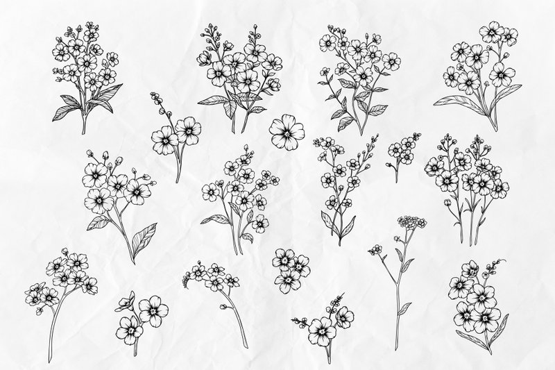 18 Forget-me-not line art illustration SVG clipart - 電子似顏繪/繪畫/插畫 - 其他材質 