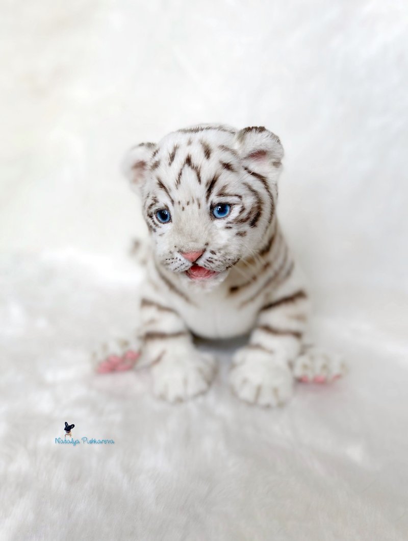 White tiger cub, realistic plush toy, stuffed animal - ตุ๊กตา - เส้นใยสังเคราะห์ ขาว