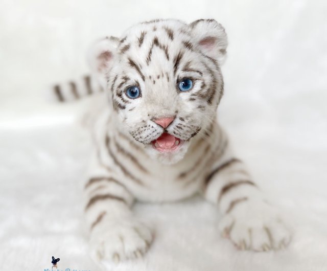 リアル　ホワイトタイガー ぬいぐるみ 約75cm Amazon.co.jp: MILEE 虎/ホワイトタイガーぬいぐるみ WhiteTiger