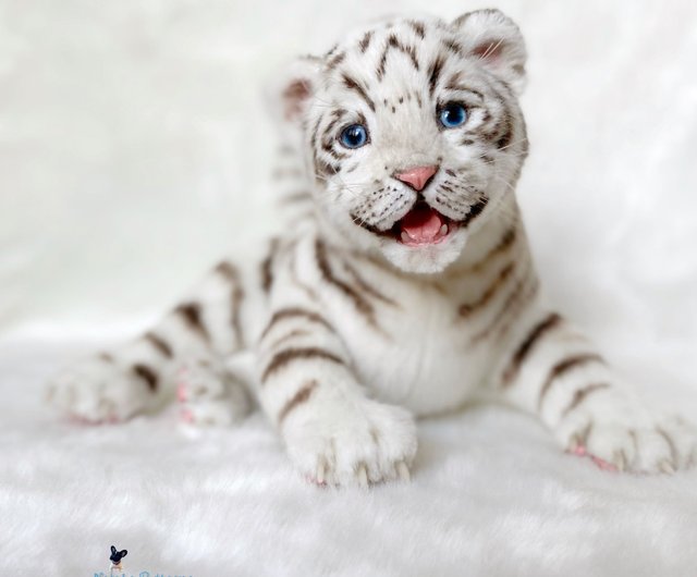 Steiff - ★シュタイフ★Tiger Cub 10cm★タイガーカブ/虎/トラの子ども/寅★ Steiff Tiger Cub all IDs standing 8 inches long vintage 1968