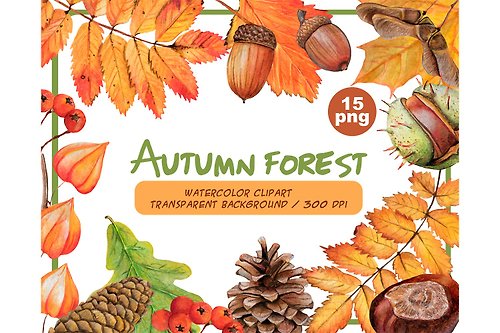 ArtfulStudio Watercolor autumn forest clipart - Autumn woodland PNG