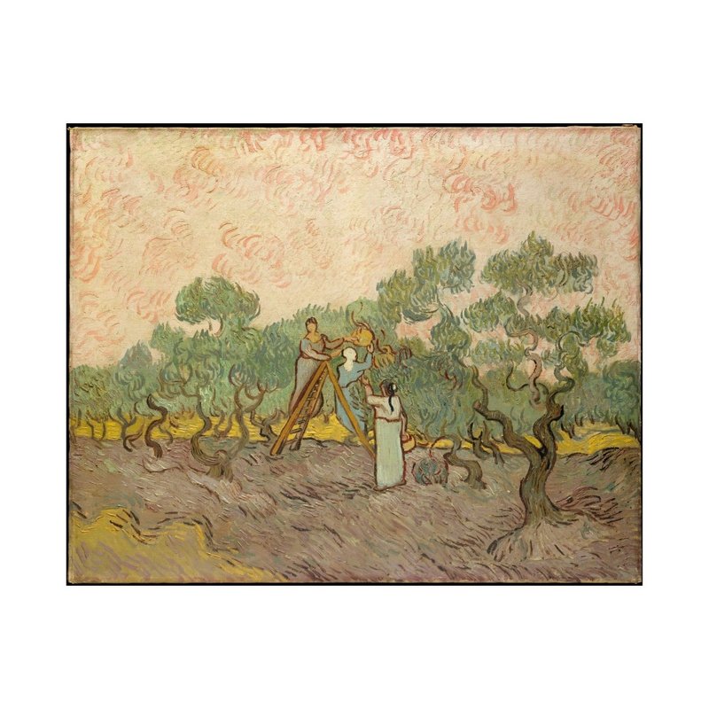 【ジークレー】ゴッホ オリーブを摘む女たち | - ポスター・絵 - 紙 