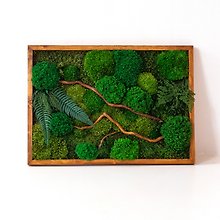 Moss picture, moss painting, moss wall decoration, green decor