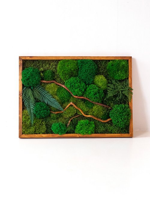 Moss picture, moss painting, moss wall decoration, green decor