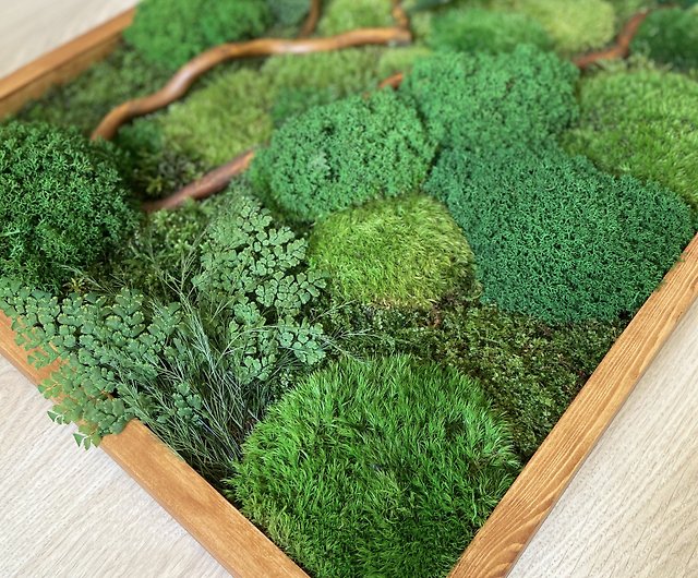 Moss picture, leaves wall art, moss wall decoration, home decor - Shop  GreenDecor Wall Décor - Pinkoi