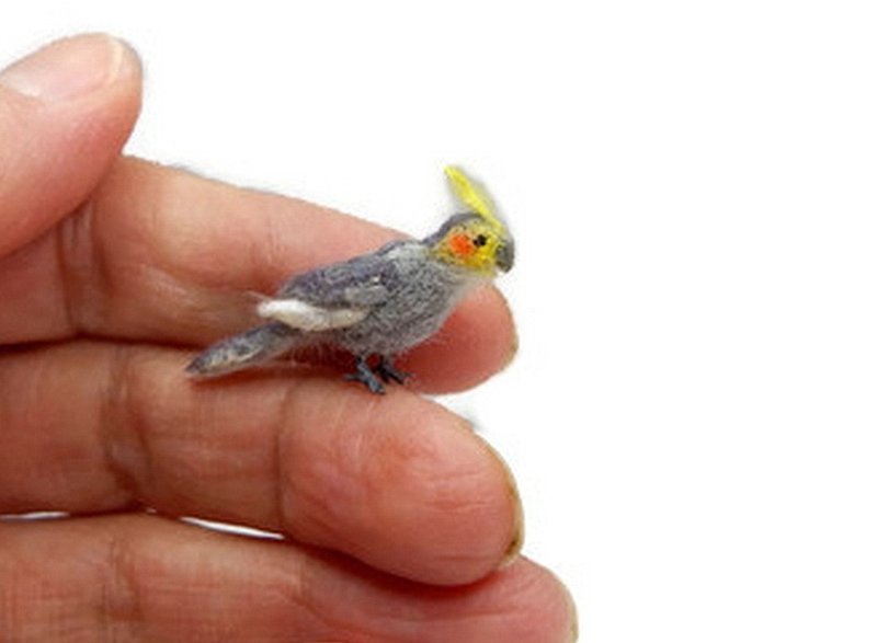 Parrot cockerel, miniature for the doll house. - 公仔/玩偶 - 羊毛 灰色