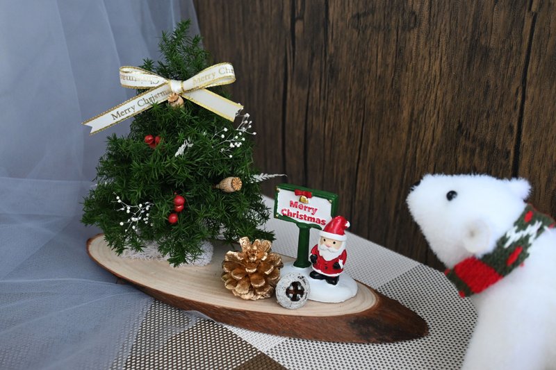 Everlasting cedar Christmas tree ornament Santa style - Items for Display - Plants & Flowers Green