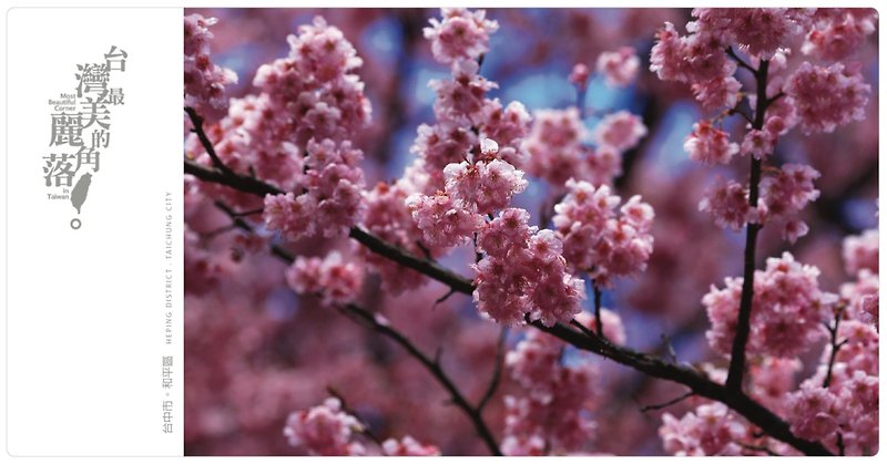 台湾一美しいコーナーポストカード～桜まつり～ - カード・はがき - 紙 ホワイト