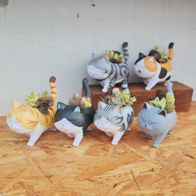 [Doudou Succulent] [Walking Cat Succulent Combination] Housewarming│Gifts│Promotion│Succulents - ตกแต่งต้นไม้ - พลาสติก 