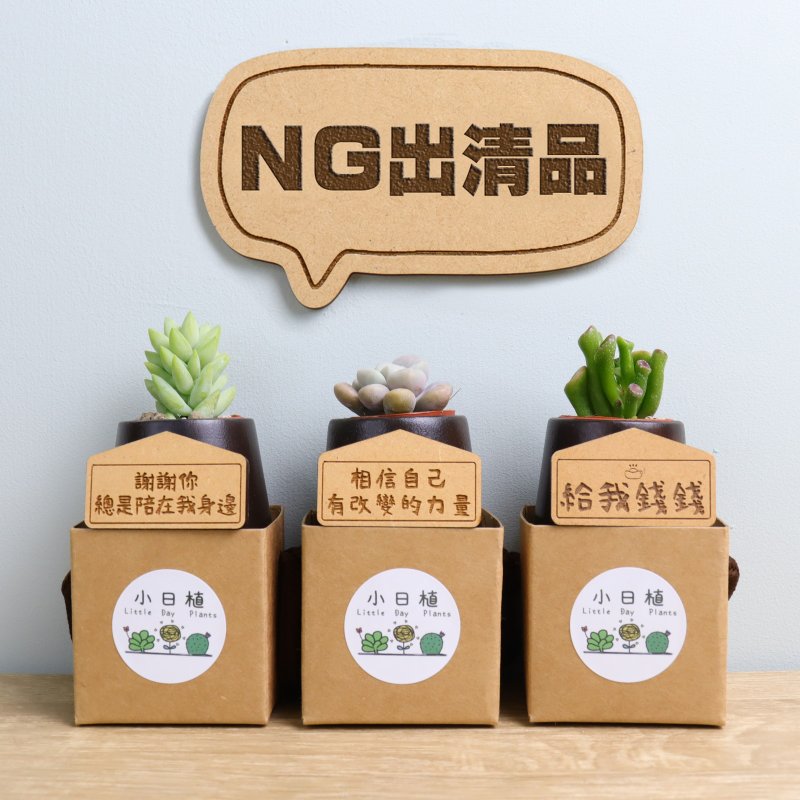 【NG品】小山木盆-多肉植物 附紙盒 婚禮 生日 聖誕 畢業 送禮物 - 植物/盆栽/盆景 - 木頭 綠色