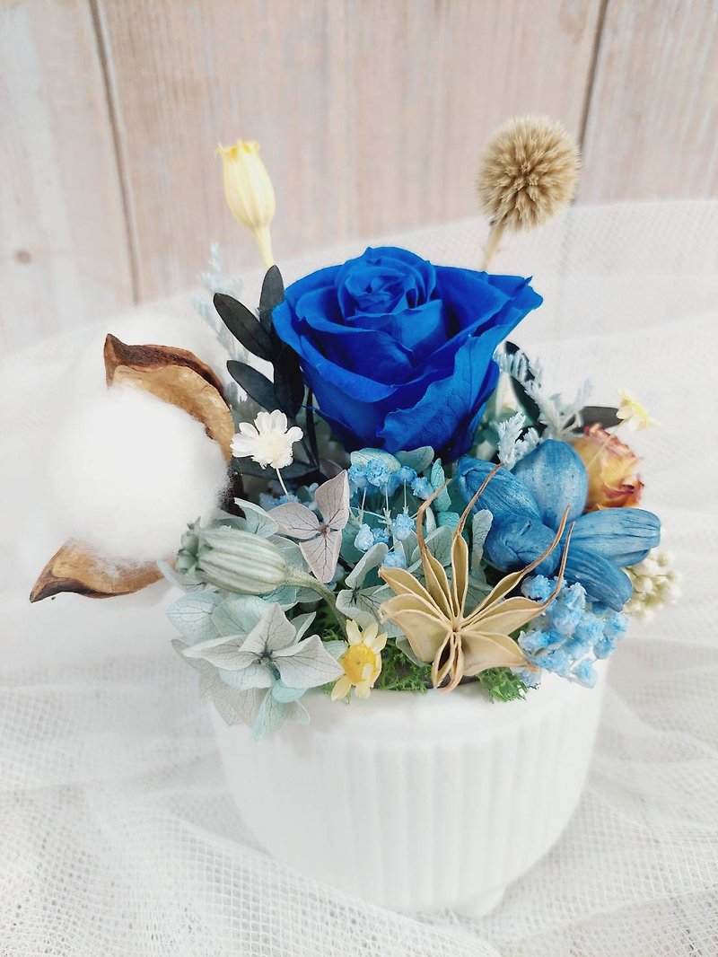 *Warm flower room*Fresh blue sky eternal flower pot - ช่อดอกไม้แห้ง - พืช/ดอกไม้ สีน้ำเงิน