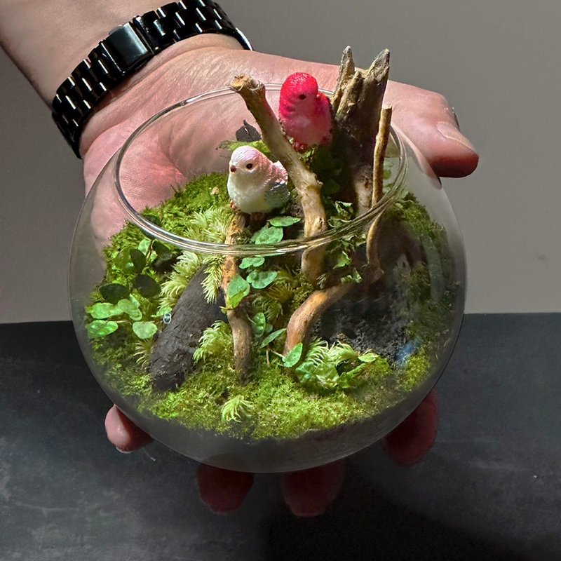 Palm-sized handmade micro-landscape ecological basin – Lin Yun Birdsong - ตกแต่งต้นไม้ - พืช/ดอกไม้ 