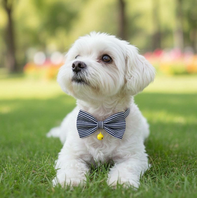 ストライプ柄 リボン付きペット用デコレーションカラー 猫・小型犬・ミニ犬用 - 首輪・リード - コットン・麻 ブルー