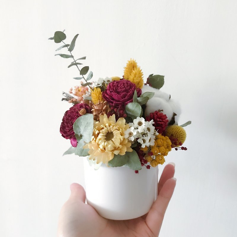 Flower and green small potted flowers, dried flowers, immortal flowers, exchange gifts, opening blessings - Dried Flowers & Bouquets - Plants & Flowers 
