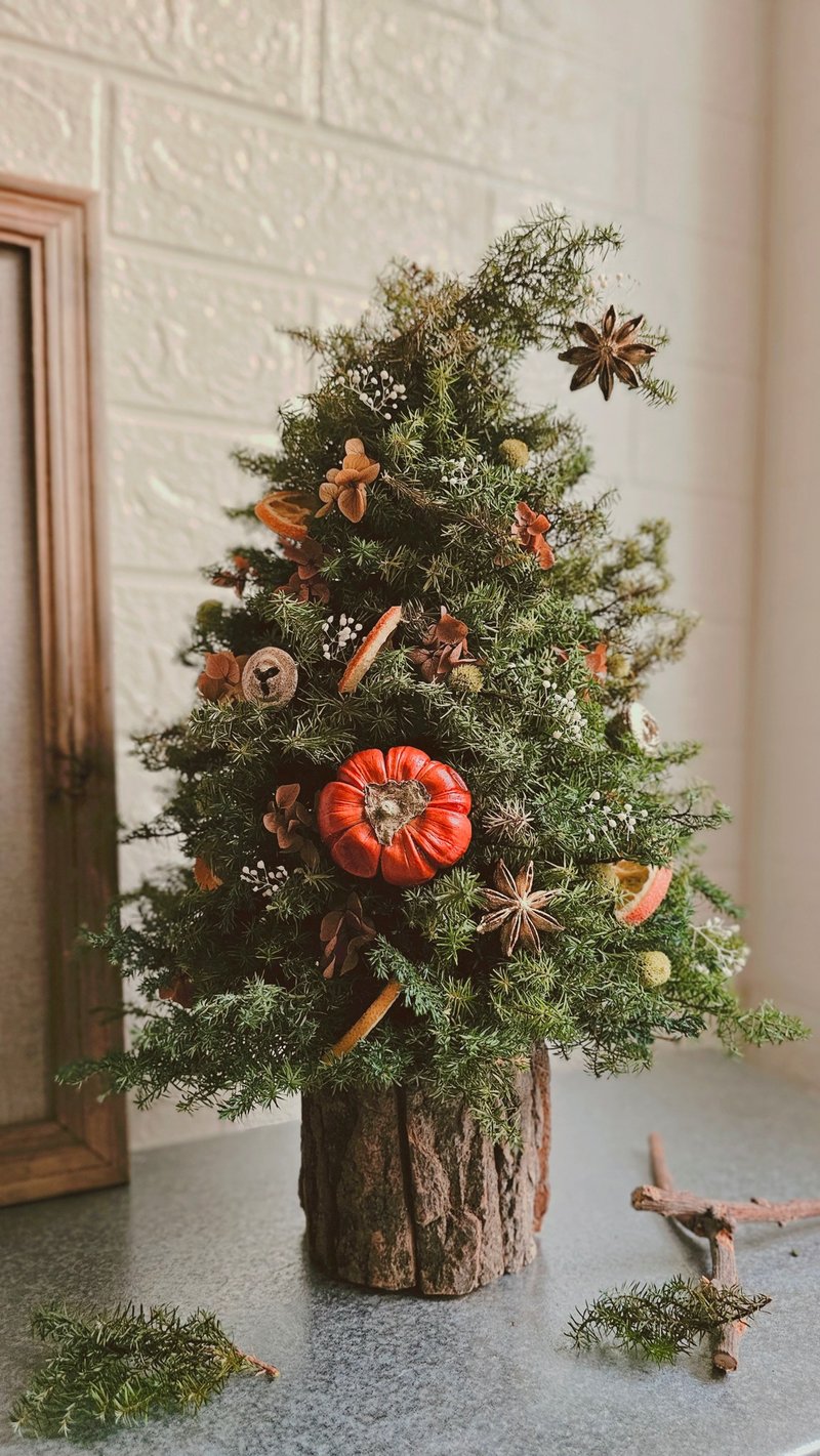 永生聖誕樹 聖誕節 雪松聖誕樹 聖誕裝飾 - 乾燥花/永生花 - 植物．花 