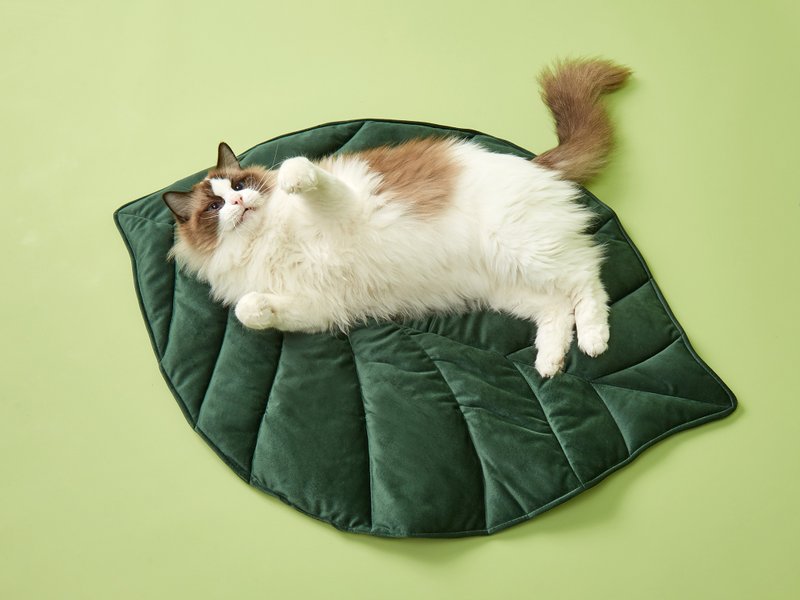 【FOFOS】Super beautiful texture! Fallen leaf shaped pet mat - ที่นอนสัตว์ - วัสดุอื่นๆ 