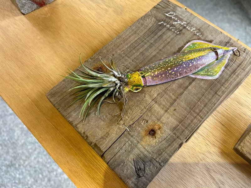 海廢浮球空氣鳳梨植栽-頭足類 - 擺飾/家飾品 - 植物．花 卡其色