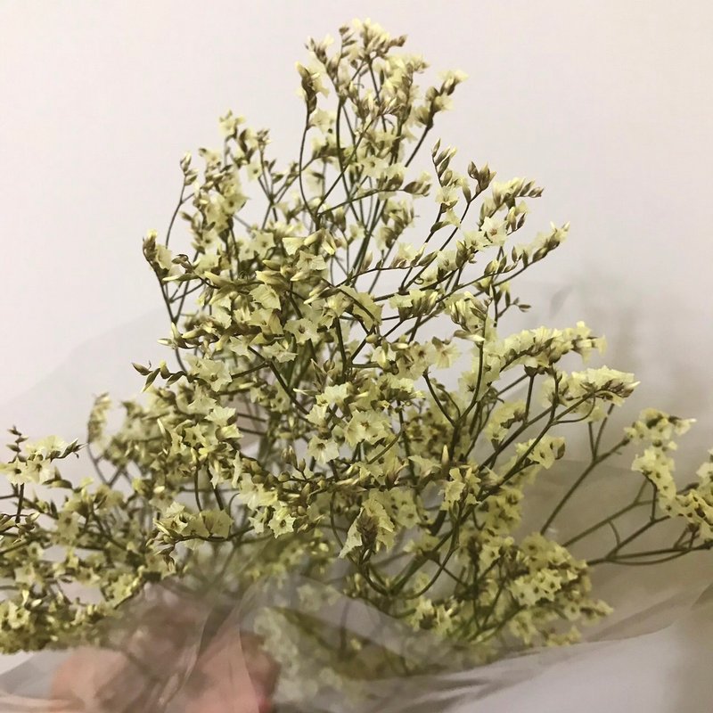 黃水晶花│自製乾燥花新鮮花材乾燥 - 乾燥花/永生花 - 植物．花 黃色