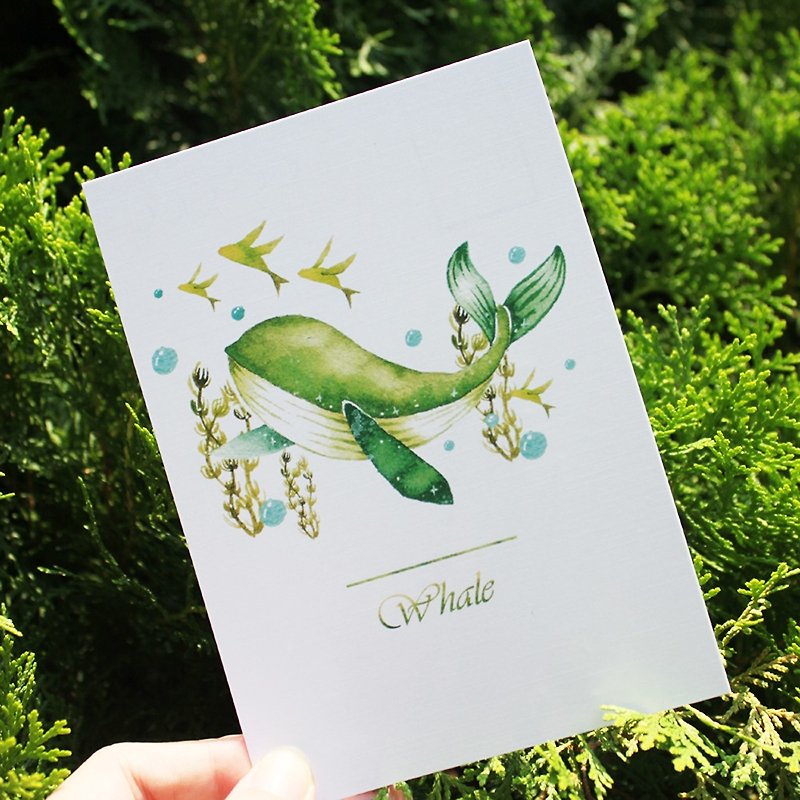 whale postcard - การ์ด/โปสการ์ด - กระดาษ สีเขียว
