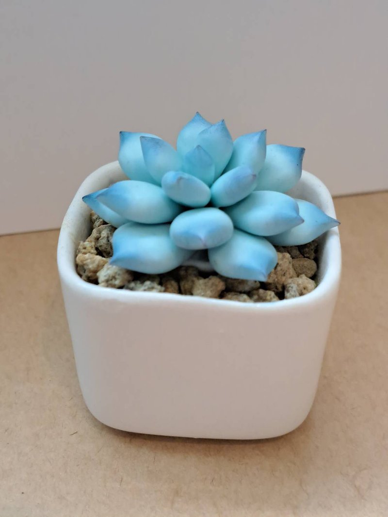 #一树# Blue ice flower-clay succulents-handmade version 1 - ตกแต่งต้นไม้ - ดินเหนียว สีน้ำเงิน
