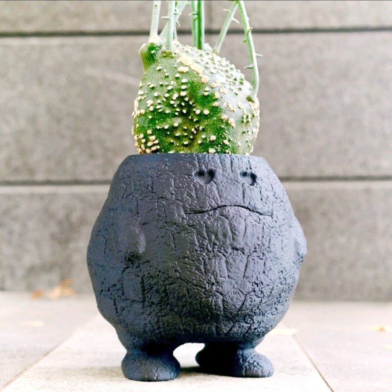 Lava Fat Egg Plant Pot 3D Printed Pot Original Design Succulent Pot - ตกแต่งต้นไม้ - พลาสติก 