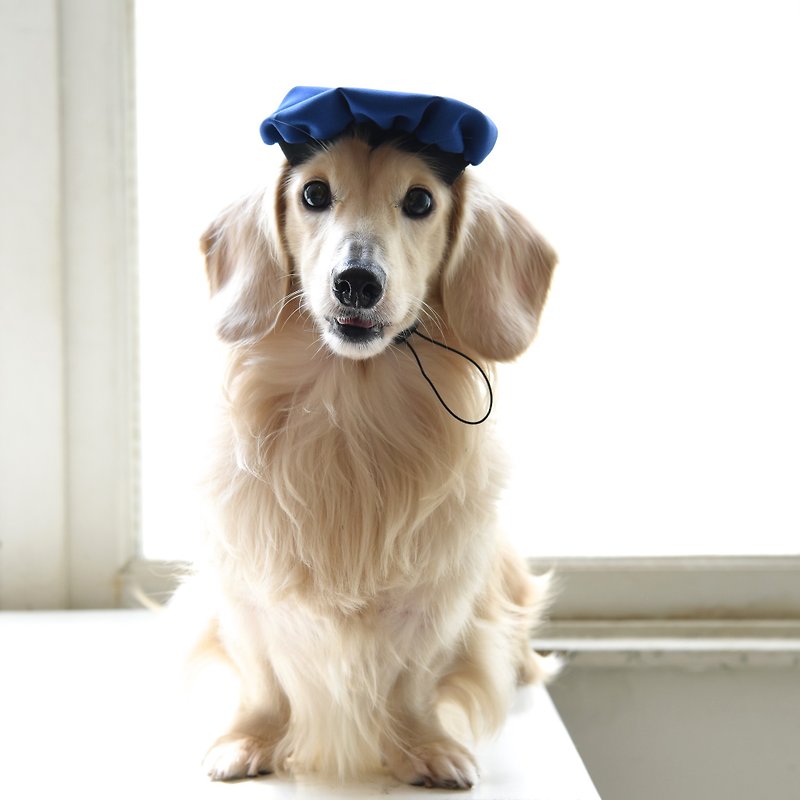 糖老鴨帽*學士帽*畢業帽*畫家帽*賣萌帽【ZAZAZOO】 - 寵物衣服 - 棉．麻 藍色