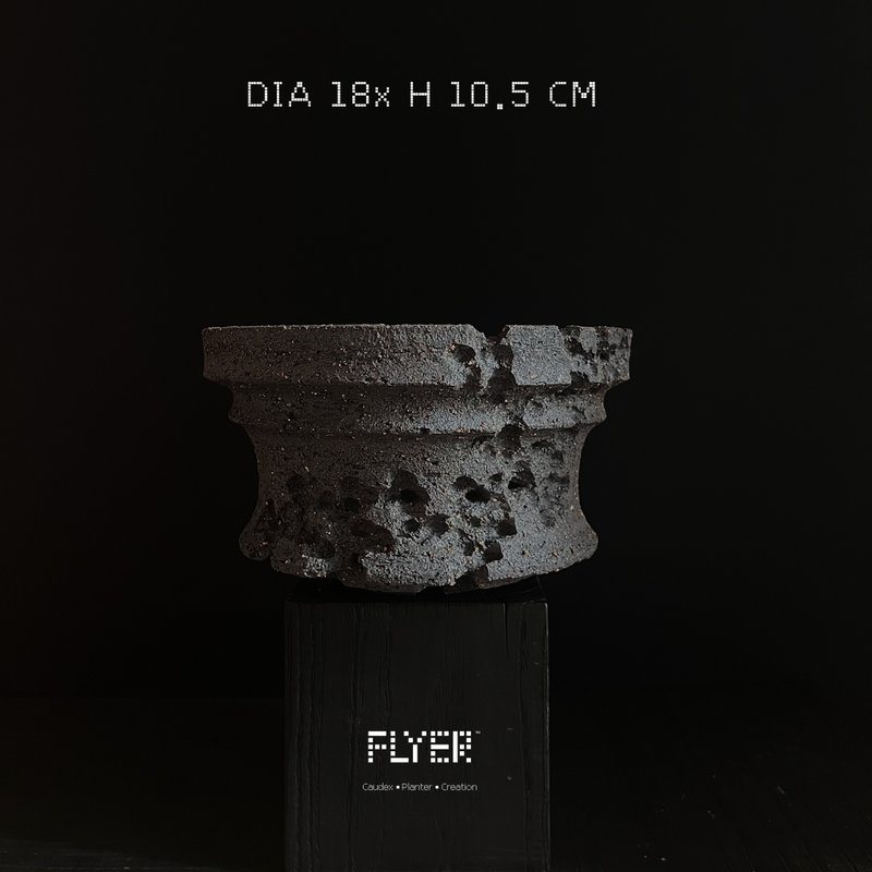 FLYER 塊根多肉植物陶盆器 龍舌蘭象牙宮象足漆樹盆器 粗陶系列 - 花瓶/花器 - 陶 黑色