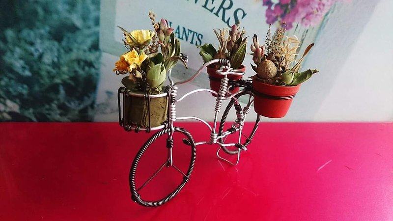 鋁線腳踏車-復古淑女腳踏車/不含乾燥花、盆器/附PVC包裝盒 - 公仔模型 - 鋁合金 