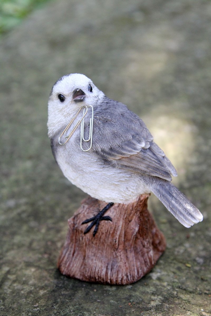 ZOOCRAFT realistic animal series white wagtail bird shaped paper clip iron absorber/desk decoration/stationery storage - Other - Resin White