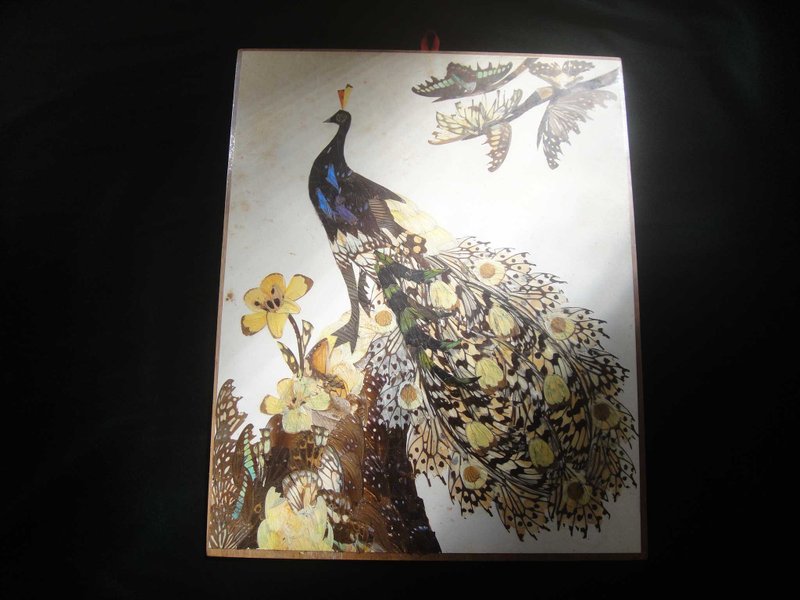 [Old Time OLD-TIME] Early second-hand Japanese-made butterfly specimen collage decoration - Items for Display - Other Materials 