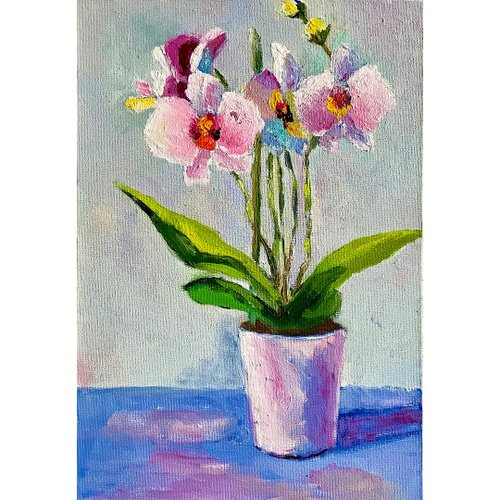 【50％OFF】 500x0.jpg 絵画